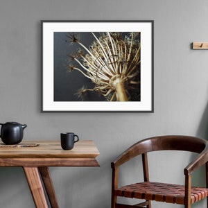 Puede incluir: Una impresi&oacute;n de arte de pared enmarcada que muestra una cabeza de flor de umbela seca de color tostado sobre un fondo oscuro. La obra est&aacute; en un marco negro fino, colocada sobre una mesa de madera con una tetera y una taza negras.