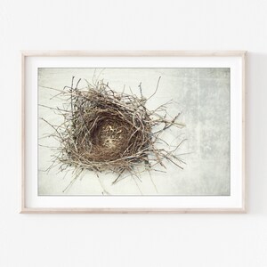 Bird Nest Print Nature Photography, Rustic Wall Art, Minimal Modern Still Life Photography, Neutral Farmhouse Decor, Gray Brown, Art Print image 8