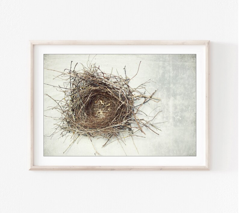 Bird Nest Print Nature Photography, Rustic Wall Art, Minimal Modern Still Life Photography, Neutral Farmhouse Decor, Gray Brown, Art Print image 8