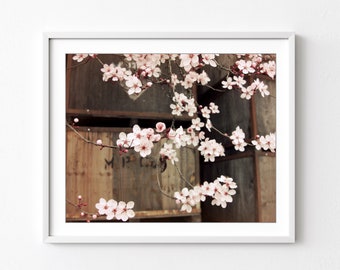 Plum Blossoms Flower Photography Botanical Print Rustic Wood Floral Wall Art "Plum Blossoms and Apple Boxes"