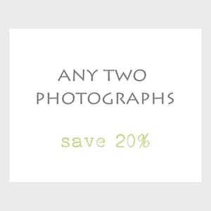 Photography Print Set / Your Choice / Save 20% / Two Prints / 2 Prints / Gallery Wall Room Decor image 1