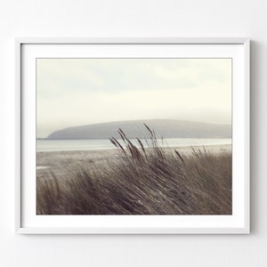 Fotografía de playa Arte de la pared costera, decoración de playa neutra, fotografía de naturaleza, gris pardo marrón, impresión de hierba de playa, impresión 8x10 16x20 imagen 1