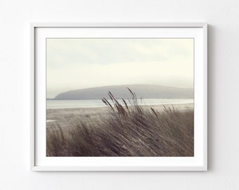 Beach Photography - Coastal Wall Art, Neutral Beach Decor, Nature Photography, Gray Brown Taupe, Beach Grass Print, 8x10 16x20 Print