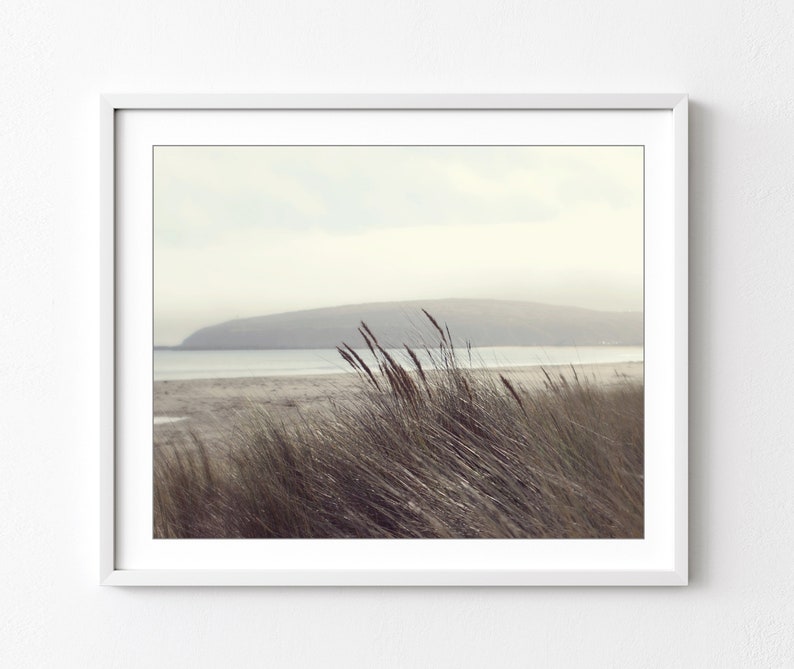 Fotografía de playa Arte de la pared costera, decoración de playa neutra, fotografía de naturaleza, gris pardo marrón, impresión de hierba de playa, impresión 8x10 16x20 imagen 1