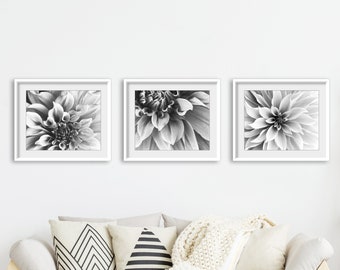 Save 30% - Set of Three Prints Black and White Flower Photography Prints Dahlia Flower Prints 8x10 11x14 Gray Floral Gallery Wall Art