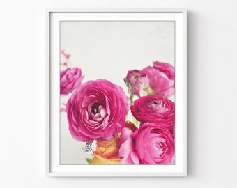 Still Life Photography, Ranunculus Flowers, Dark Pink Magenta White, Botanical Art, Flower Photography, Floral Bedroom Wall Art