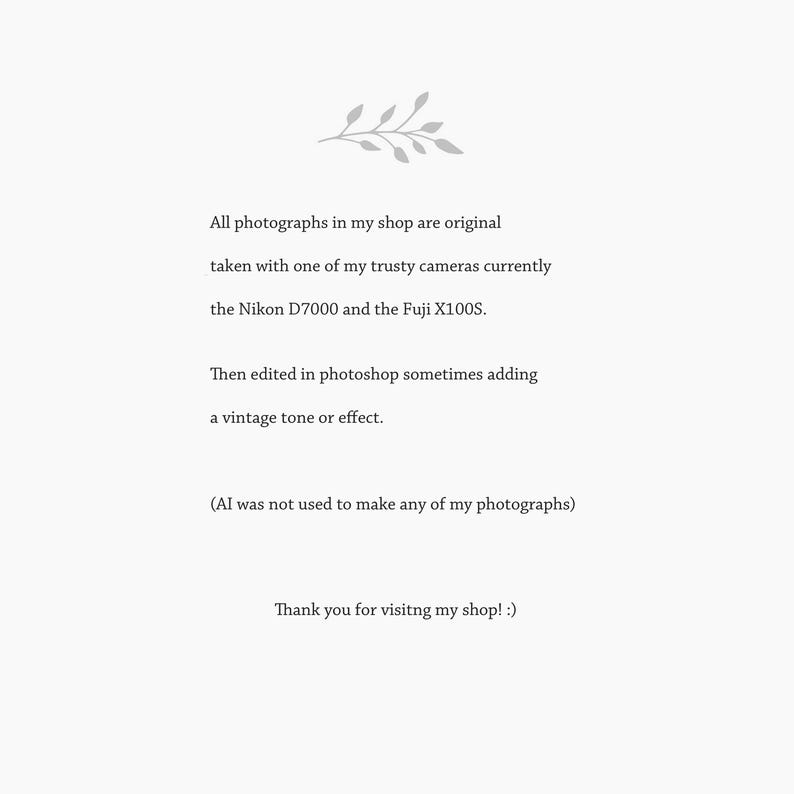May include: A white informational graphic featuring a grey leaf icon at the top. The text states: All photographs in my shop are original taken with one of my trusty cameras currently the Nikon D7000 and the Fuji X100S. Then edited in photoshop sometimes adding a vintage tone or effect. (AI was not used to make any of my photographs) Thank you for visitng my shop! :)