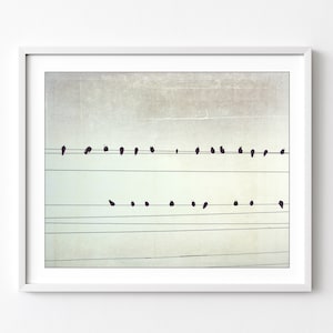 Birds on Wires Print Fine Art Photography, Black and White Wall Art, Abstract Modern Decor, 8x10 16x20 Minimal Art Print image 1