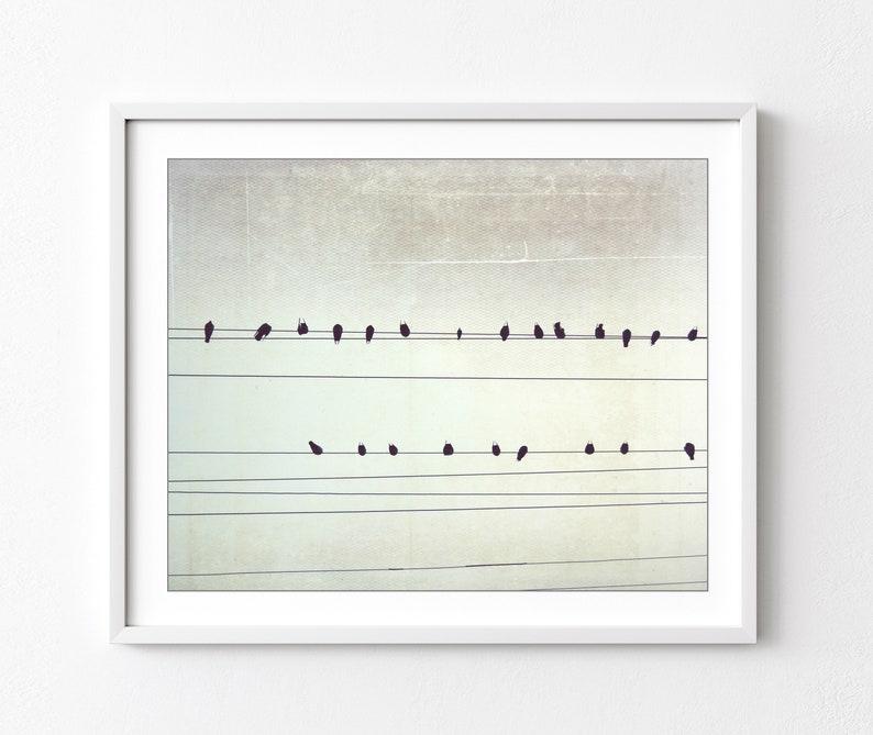 Birds on Wires Print Fine Art Photography, Black and White Wall Art, Abstract Modern Decor, 8x10 16x20 Minimal Art Print image 1