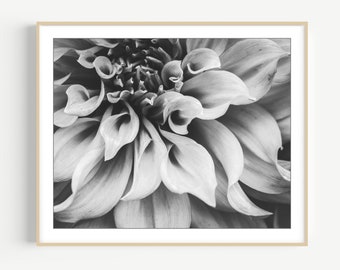 Dahlia Flower Print - Black and White Photography, Large Wall Art, Flower Photography, Floral Wall Art, Botanical Print, Flower Wall Art