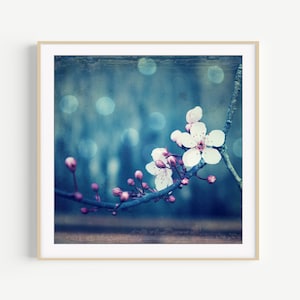 Botanical Photography Plum Blossoms Print, Flower Photography, Pink Blue Wall Art, Floral Wall Art, 8x10 8x8 11x14, Indigo Blue Art image 1