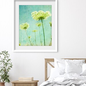 Flower Photography Queen Anne's Lace Print, Floral Aqua Blue Green Wall Art, Nature Photography, 8x10 11x14, Wildflower Botanical Wall Art image 2