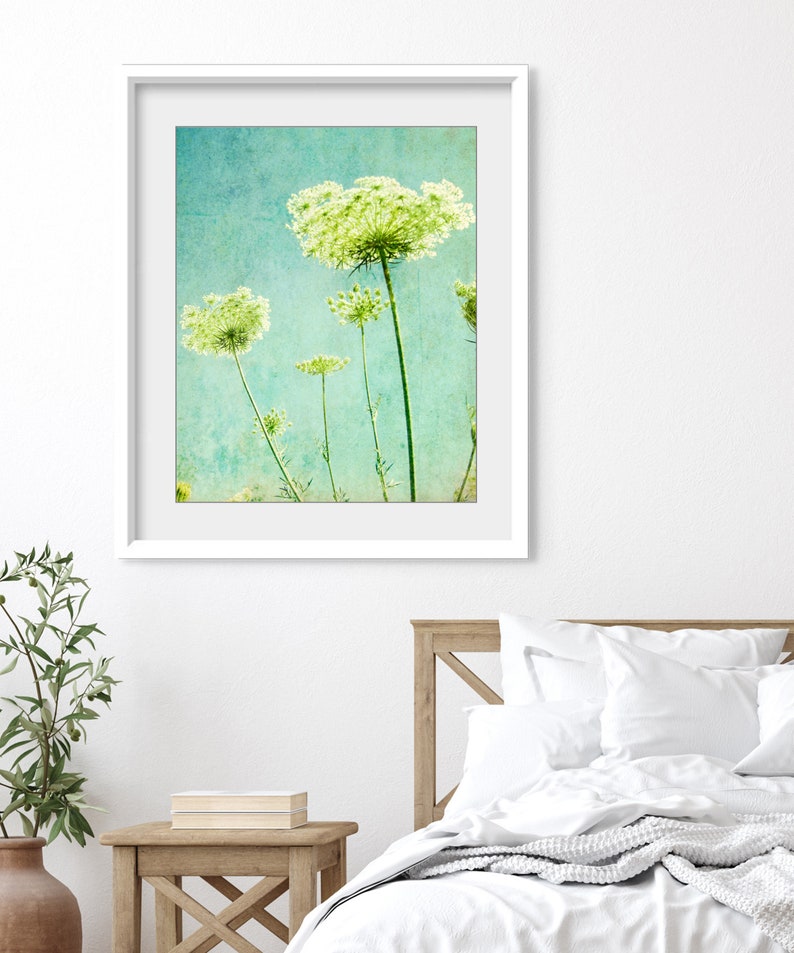 Flower Photography Queen Anne's Lace Print, Floral Aqua Blue Green Wall Art, Nature Photography, 8x10 11x14, Wildflower Botanical Wall Art image 2