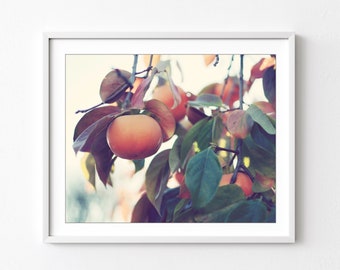 Persimmon Fruit Tree Print - Botanical Wall Art, Fuyu Persimmon, Fruit Tree Photograph, Orange Rust Green, Dining Room Art 8x10 16x20 Print