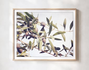 Olive Branch Botanical Print Neutral Kitchen Dining Room Art, Nature Photography 8x10 11x14 18x24 Print