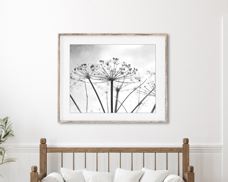 Botanical Print Black and White Photography, Wild Plants, Nature Print, Contemporary Nature Living Room Art, 8x10 16x20 Print image 2