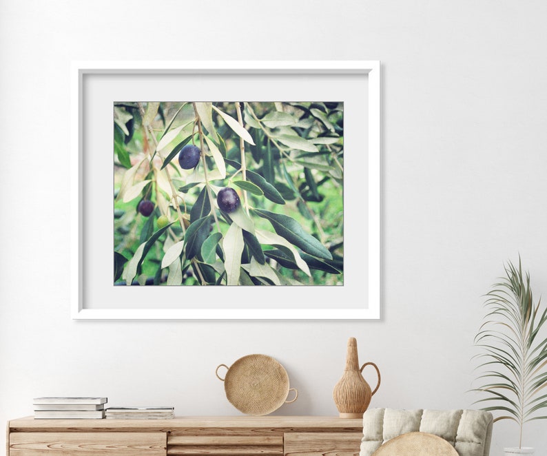 Olive Branch Print Botanical Print, Nature Photography, Kitchen Wall Art, Olive Tree, 8x10 5x7, Dining Room Decor image 4