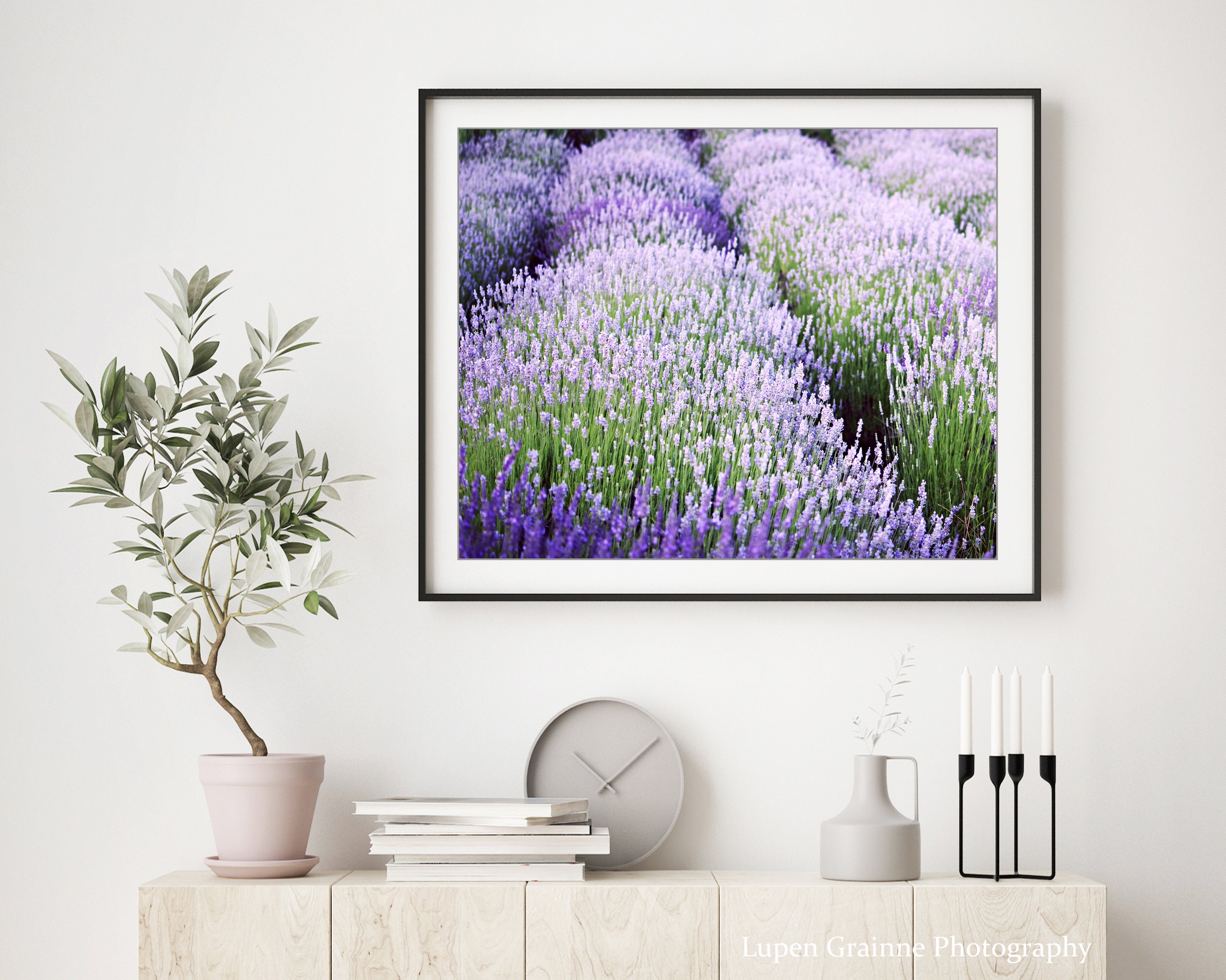 Lavender Field Print Purple Green Wall Art Nature Etsy