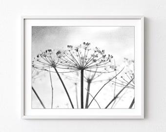 Botanical Print - Black and White Photography, Wild Plants, Nature Print, Contemporary Nature Living Room Art, 8x10 16x20 Print