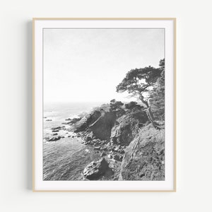 California Coastal Wall Art Black and White Photography, Beach Print, Ocean Photography, Landscape, Large Wall Art, Living Room Art image 1