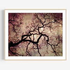 Oak Tree Print - Starry Night Fine Art Photography Print Mauve Plum 8x10 16x20 Dreamy Celestial Stars Print