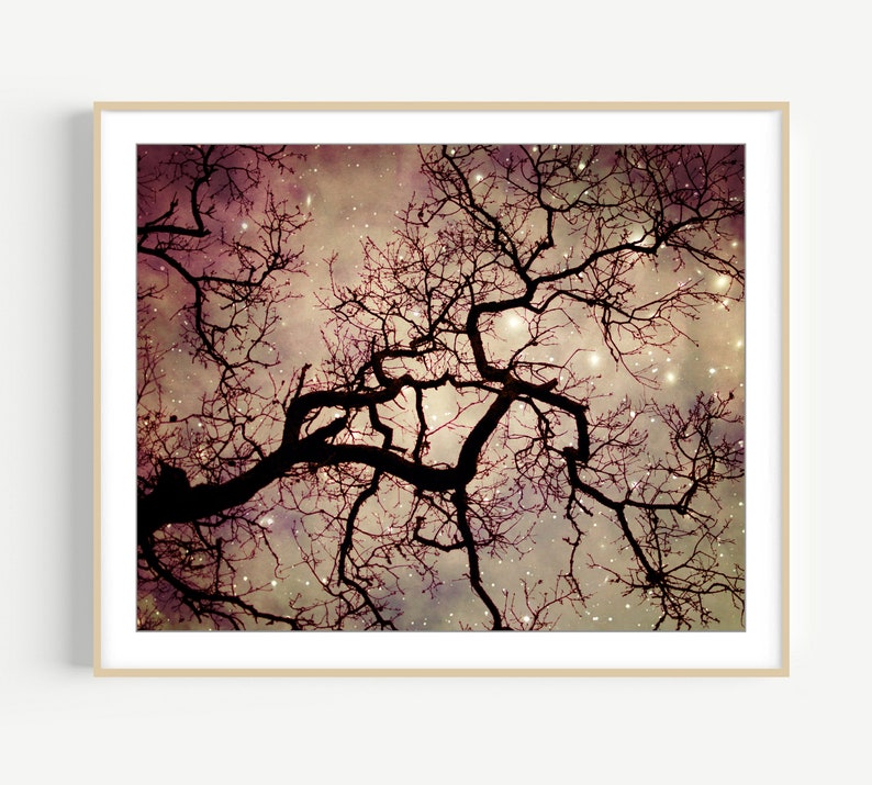 Oak Tree Print Starry Night Fine Art Photography Print Mauve Plum 8x10 16x20 Dreamy Celestial Stars Print image 1