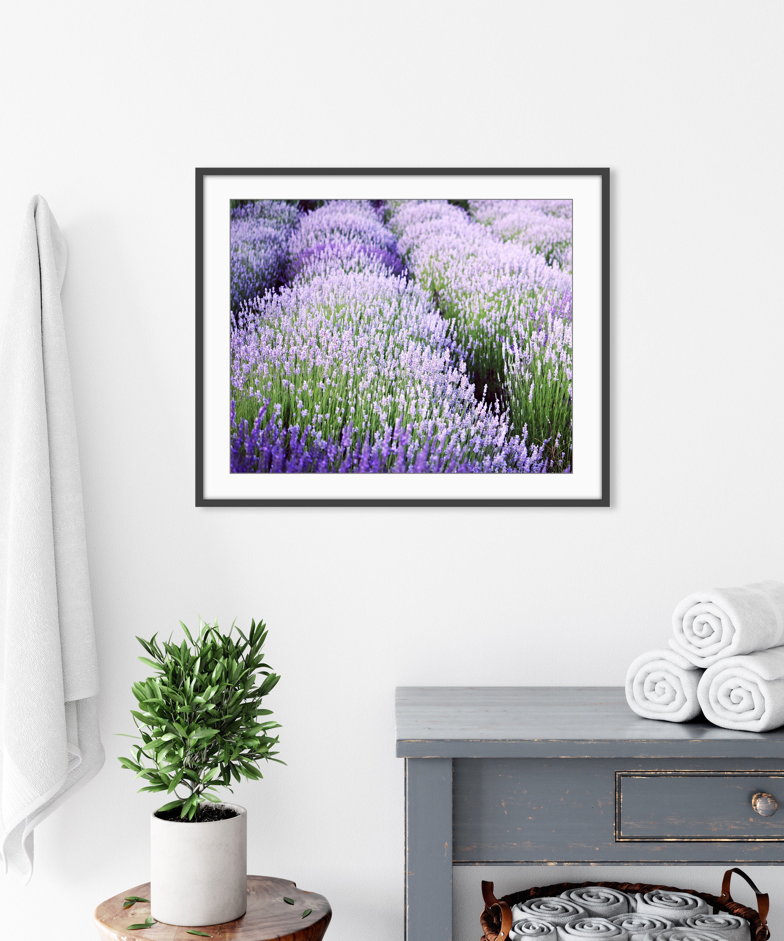 Lavender Field Print Purple Green Wall Art Nature Etsy