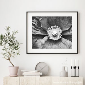 Poppy Flower Print Botanical Print, Black and White Photography, Gray Black White, Floral Wall Art, Poppy Print, Nature Photography image 2