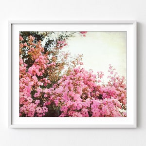 Crepe Myrtle, Flower Photography, Botanical Print, Pink Flowers Wall Art, Vintage Style, Floral Photography, Bedroom Wall Decor image 1