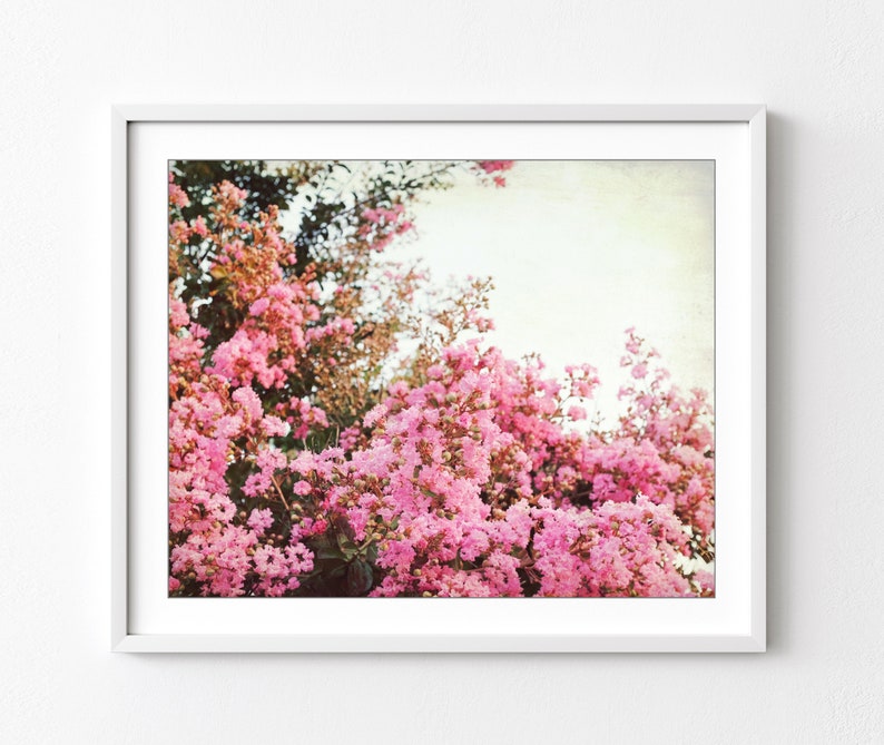 Crepe Myrtle, Flower Photography, Botanical Print, Pink Flowers Wall Art, Vintage Style, Floral Photography, Bedroom Wall Decor image 1