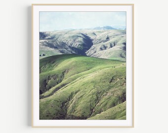 Northern California Landscape - Photography Print, Green Rolling Hills, Rustic Wall Art, Pastoral, Nature Photography, 8x10 16x20 Print