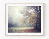 Tree Photography Print, A...