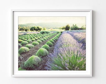 Lavender Field Print Landscape Photography Print, Purple Green Wall Art, Garden, Kitchen Wall Art, Herbal, French Country Kitchen Decor