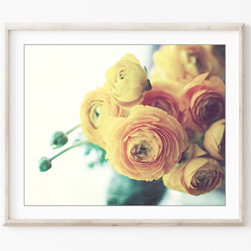 Peony Wall Art Flower Still Life Photography Floral Pale - Etsy