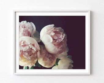 Peony Wall Art - Flower Still Life Photography Floral Pale Pink Botanical Print