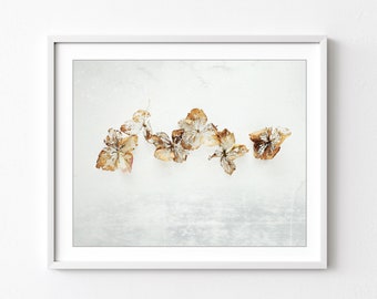 Hydrangea Still Life, Botanical Print, Nature Photography, Neutral Minimalist Room Decor, Rustic Minimal Wall Art Print // Gold Filigree