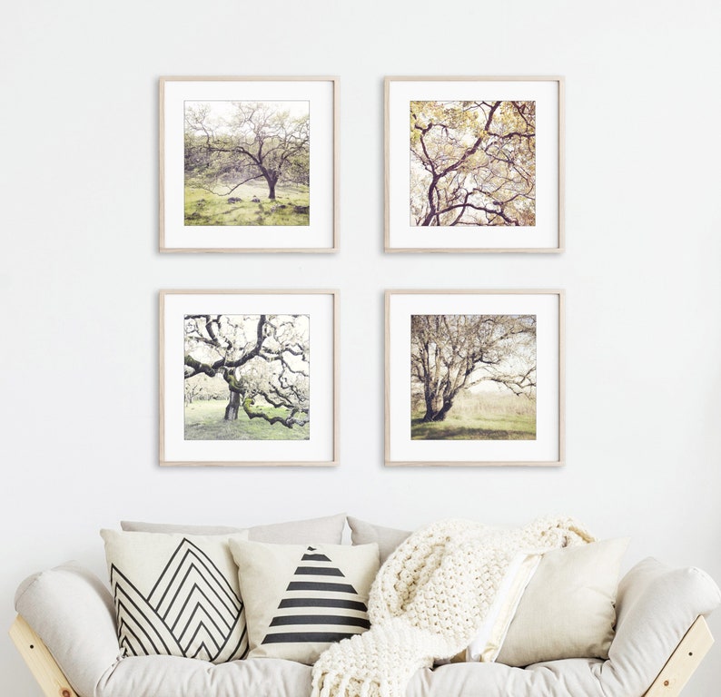 Oak Tree Prints Landscape Photography Set of 4 Prints, Rustic Living Room Decor, Nature Photography, Gallery Wall, 5x5 8x8 Prints image 1