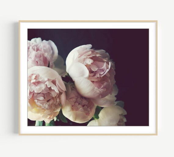 Peony cheap wall art