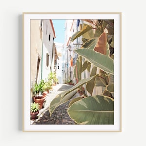 Lisbon Print, Travel Photography, Plants Print, Portugal, Architecture, Europe Street, Lisbon Photography Print