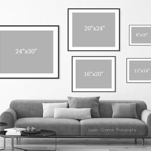 Fine Art Photography Print Sizes 5x5, 8x8, 11x14 up to 30x40 image 5