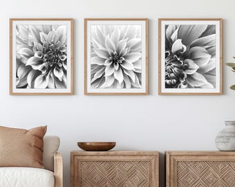 Dahlia Flower Photography Prints, Black and White Botanical Art Set 11x14 16x20 Prints - Save 30%