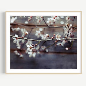 Flower Still Life Print - Plum Blossoms Photograph, Rustic Country Kitchen Decor, Pink Brown, 8x10 16x20, Wood Pink Blossoms Floral Wall Art