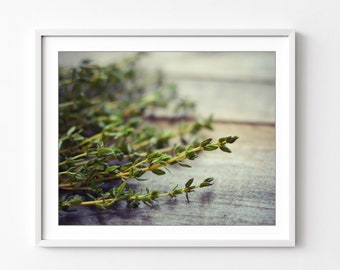 Thyme Print Fresh Herbs Rustic Kitchen Decor Food Photography Still Life, Spices Wall Art, Farmhouse Kitchen Print