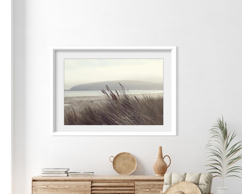 Fotografía de playa Arte de la pared costera, decoración de playa neutra, fotografía de naturaleza, gris pardo marrón, impresión de hierba de playa, impresión 8x10 16x20 imagen 8