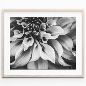 Set of Four Prints Botanical Print Set Black and White Photography, 8x10 11x14 Print Set, Nature Photography Print Set Wall Art image 4