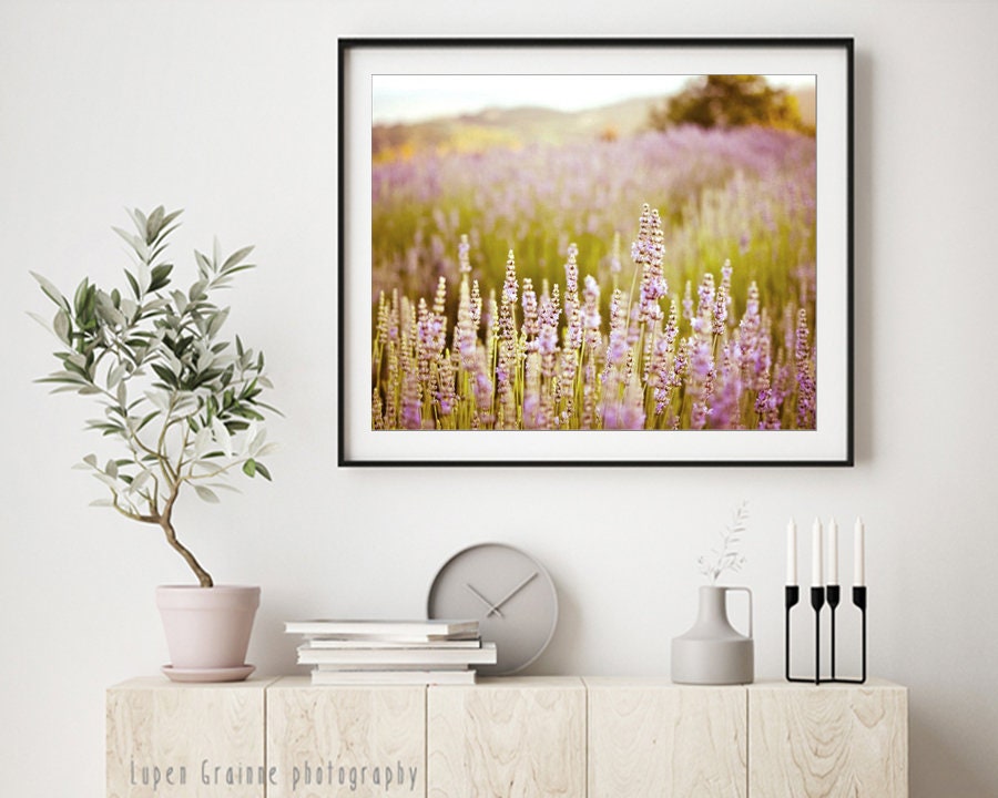 Lavender Field Print Dreamy Landscape Photography Pale | Etsy