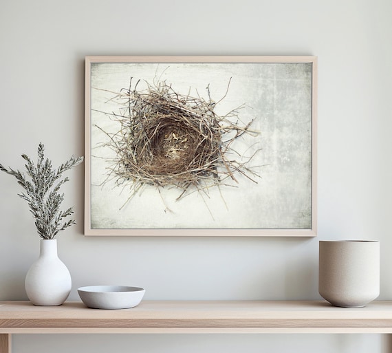 Bird Nest Print - Nature Photography Natural History Wall Art Neutral Gray White Wall Art Birds Nest Rustic Farmhouse Art // A Little Home