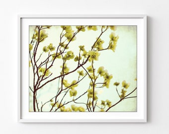 Dogwood Flowers Print - Botanical Print, Floral Wall Art, Pale Green, Tree Branches, Bedroom Wall Art 8x10 16x20 Print, Nature Photography