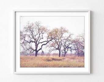 Oak Trees Landscape, Rustic Autumn Landscape Photograph, Large Wall Art, Oak Tree Print, Nature Photography, Living Room Decor