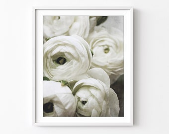 Flower Photography White Floral Wall Art Botanical Bedroom Wall Art, Flower Still Life Print, 8x10 16x20, Ranunculus Flowers Print